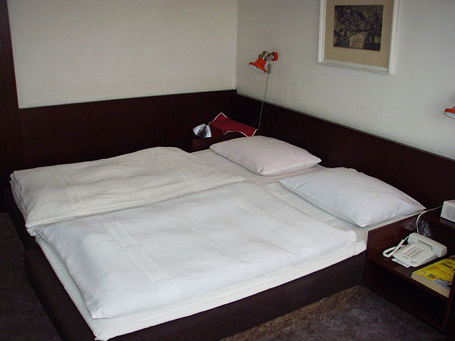 HOTEL BOHEMIA - st nad Labem 4