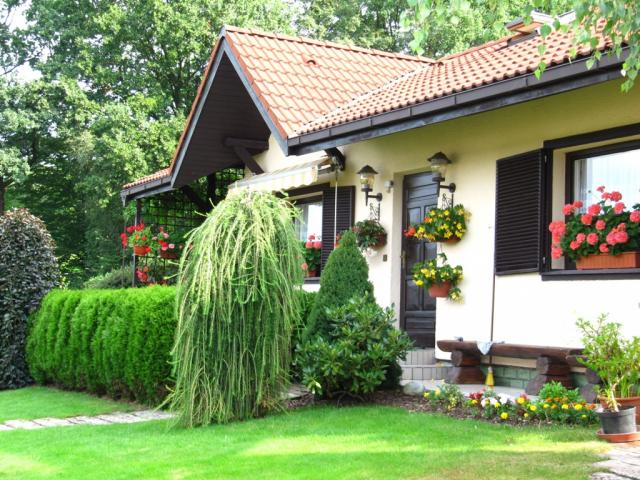 Dana tampovsk 6