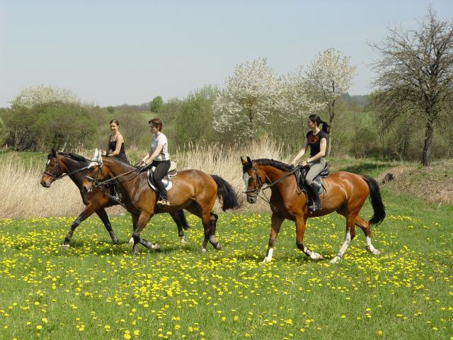 Equitana Hotel Resort 9