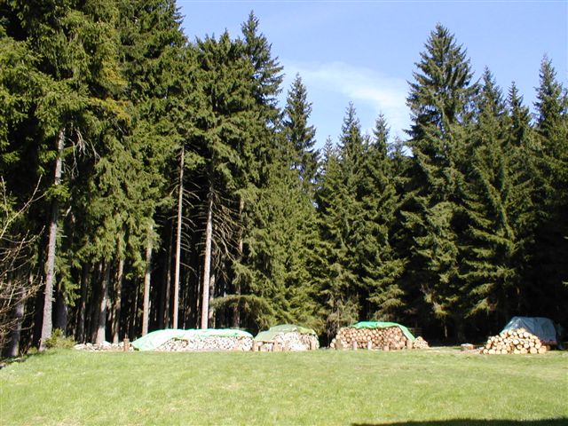 Chata Relax - Nejdek 9