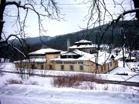 Pension Schaumannv Dvr 4