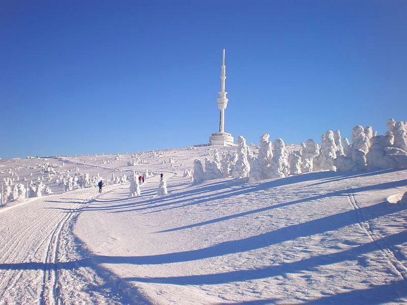 Chata Sedlovka, Kouty nad Desnou 10