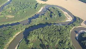 Rekrean dm Javor 8