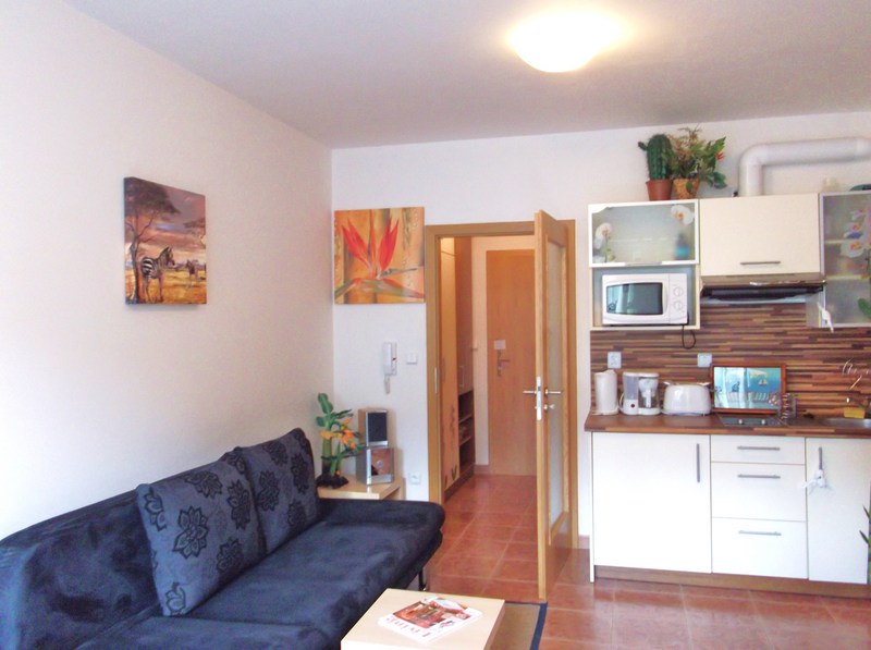 APARTAMENTY LIPNO NAD VLTAVOU  4