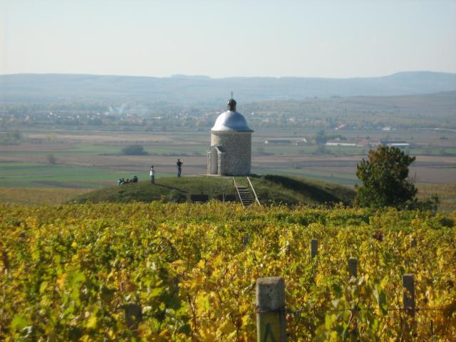 Penzion HORTENZIE 4