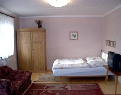 Apartmn Eva Netopilov 2