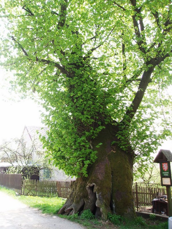 Penzion Vysoina 6